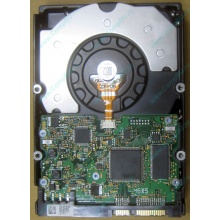HDD Sun 500G 500Gb в Мытищах, FRU 540-7889-01 в Мытищах, BASE 390-0383-04 в Мытищах, AssyID 0069FMT-1010 в Мытищах, HUA7250SBSUN500G (Мытищи)
