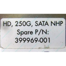 HP 250G 7.2k 432337-001/ 399699-001 / 397377-004 SATA HDD (Мытищи)
