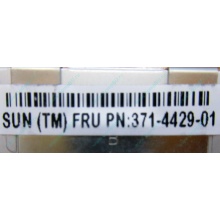 Серверная память SUN (FRU PN 371-4429-01) 4096Mb (4Gb) DDR3 ECC в Мытищах, память для сервера SUN FRU P/N 371-4429-01 (Мытищи)