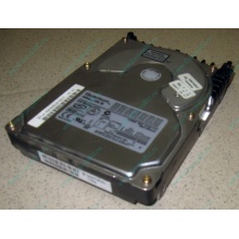 Жесткий диск 18.4Gb Quantum Atlas 10K III U160 SCSI (Мытищи)