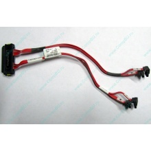 SATA-кабель для корзины HDD HP 451782-001 459190-001 для HP ML310 G5 (Мытищи)