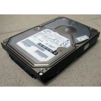 Жесткий диск 18.2Gb IBM Ultrastar DDYS-T18350 Ultra3 SCSI (Мытищи)