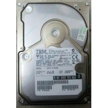 Жесткий диск 18.2Gb IBM Ultrastar DDYS-T18350 Ultra3 SCSI (Мытищи)