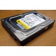 Жесткий диск 160Gb WD WD1602ABKS SATA (Мытищи)