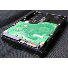 Жесткий диск 600Gb 15k Dell 9FN066-008 6G SAS ( Seagate Cheetach ST3600057SS 15K.7) - Мытищи