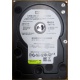 Б/У жёсткий диск 400Gb WD WD4000YR Caviar RE2 7200 rpm SATA  (Мытищи)