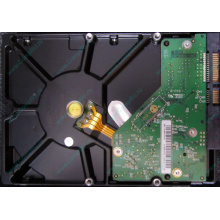 Б/У жёсткий диск 1Tb Western Digital WD10EVVS Green (WD AV-GP 1000 GB) 5400 rpm SATA (Мытищи)