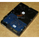 Электроника HDD 500Gb Hitachi HDS721050DLE630 (Мытищи)