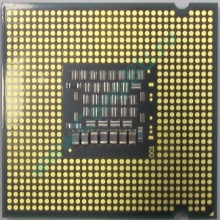 Процессор Intel Celeron Dual Core E1200 (2x1.6GHz) SLAQW socket 775 (Мытищи)