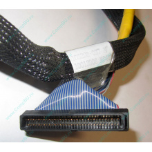 Кабель SCSI HP 166298-037 для HP ML370 G4 (Мытищи)
