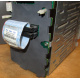 HP 365664-001 кабель SCSI для корзины 373108-001 / 359719-001 HP ML370G4 (Мытищи)