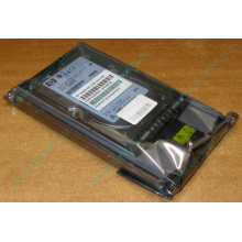 Жёсткий диск 146.8Gb HP 365695-008 404708-001 BD14689BB9 256716-B22 MAW3147NC 10000 rpm Ultra320 Wide SCSI купить в Мытищах, цена (Мытищи).