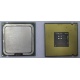 Процессор Intel Celeron D 336 (2.8GHz /256kb /533MHz) SL98W s.775 (Мытищи)