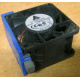 Вентилятор TFB0612GHE для корпусов Intel SR2300 / SR2400 (Мытищи)