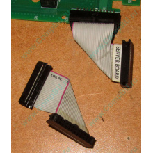 6017B0045701 Шлейф 24 pin для Intel C74974-401 T0043401-B01 корпуса SR2400 (Мытищи)