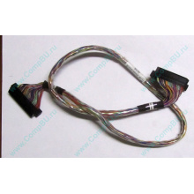 6017B0045301 в Мытищах, 68pin SCSI кабель 26.5" / 57cm для корзины HDD Intel SR2400 (Мытищи)