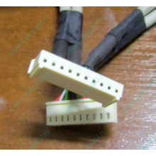 6017B0048101 в Мытищах, USB кабель панели управления Intel 6017B0048101 для SR1400 / SR2400 (Мытищи)