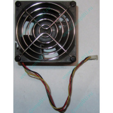 Вентилятор EFB0812HHE IBM 59P23B1 FRU 59P2572 (Мытищи)