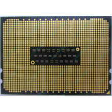 AMD Opteron 6128 OS6128WKT8EGO (Мытищи)