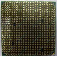 Процессор AMD Athlon 64300+ (1.8GHz) ADA3000IAA4CN s.AM2 (Мытищи)