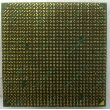 Процессор AMD Sempron 3000+ (1.6GHz) SDA3000IAA3CN s.AM2 (Мытищи)